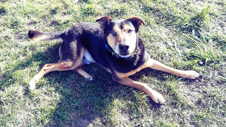 Unser Hero Vito ….