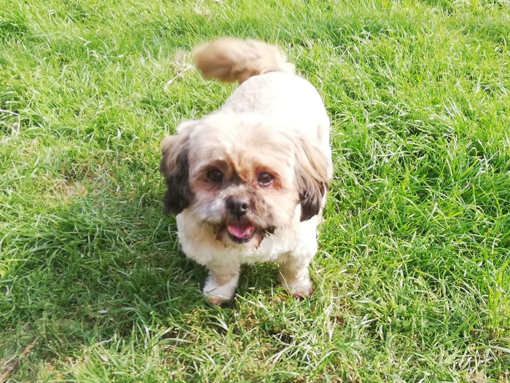 Bonnie
