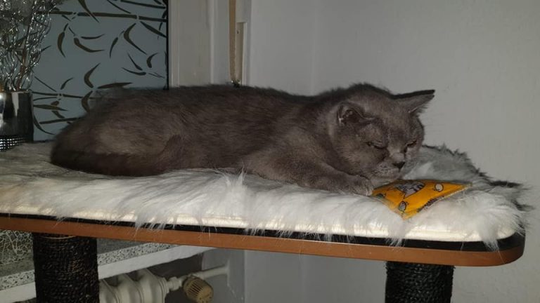 Clara und Mela im Glück…
