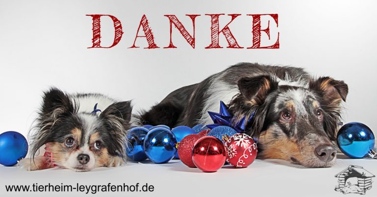 Danke allen Spendern und Freunden