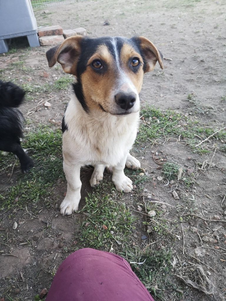 Kiki