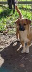 Lucy
