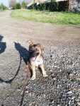 Lucy