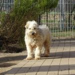 Lucy