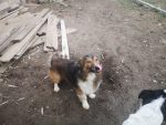 Marlo