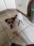 Meilo
