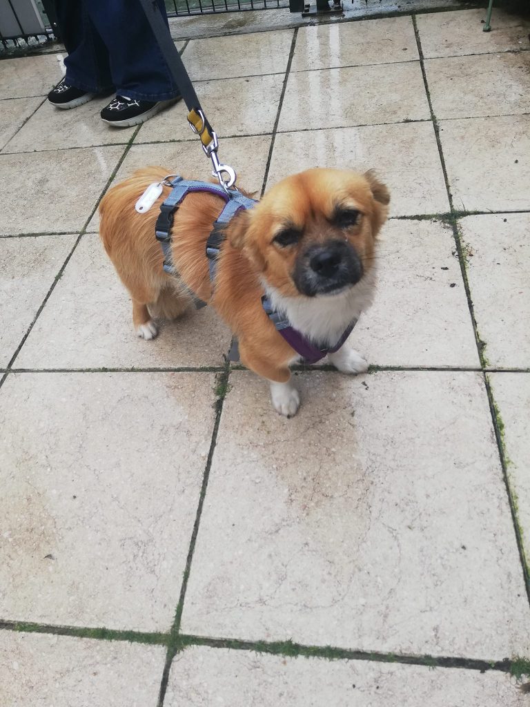 Paco