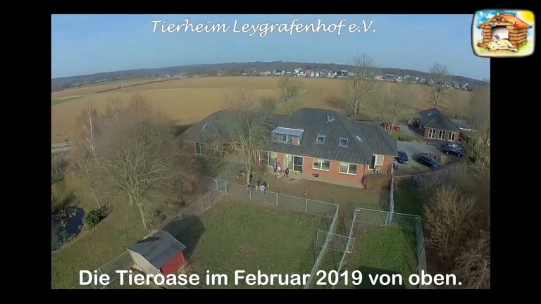 Unser Jahr 2019