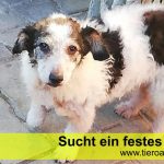 Cuza – vermittelt