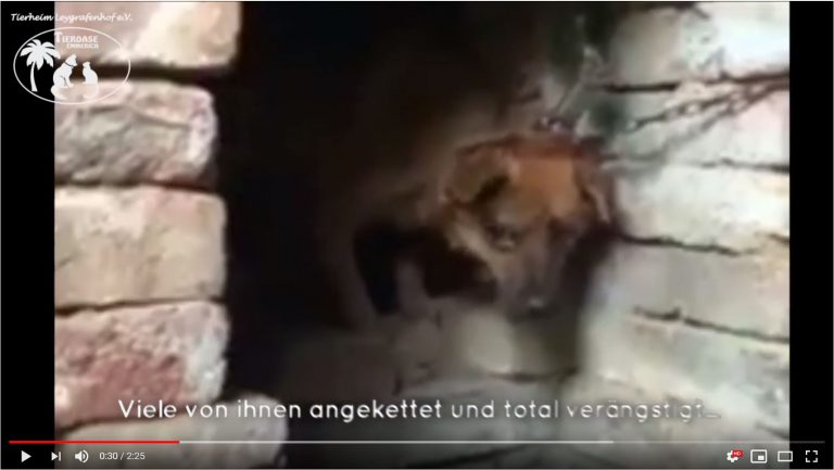 Dringender Hilfe- / Spendenaufruf (3. Update)
