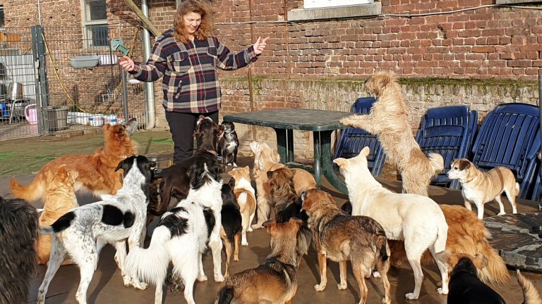 Hundeboom im Lockdown – NRZ 28.01.2021